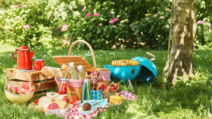 Ordna bästa picknicken – för stora och - Fira fest